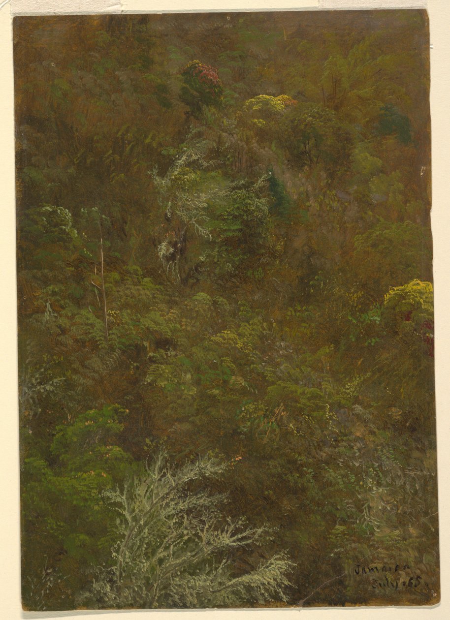 Hillside with Trees ، جامايكا بواسطة كنيسة فريدريك إدوين