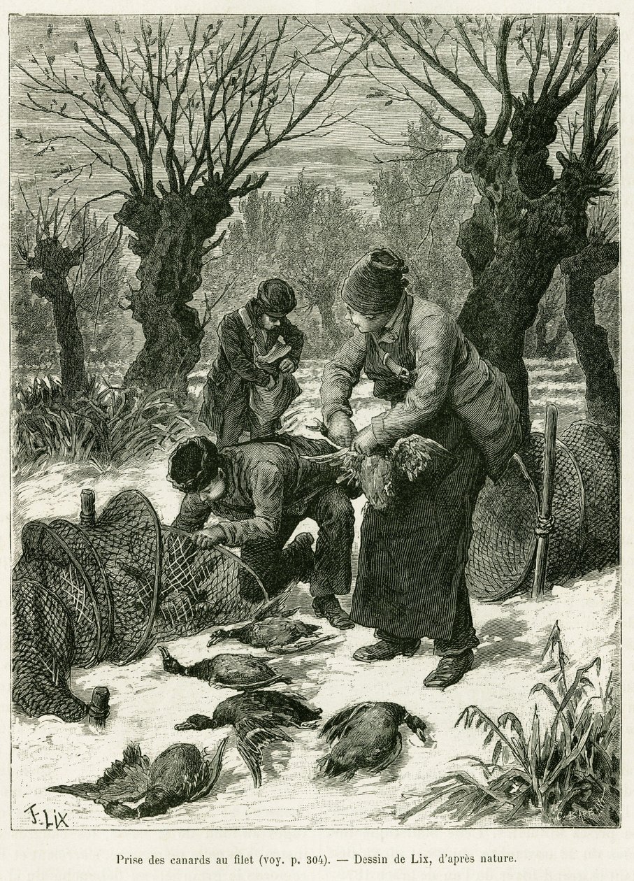 قبض على البط في الشبكة. نقش بواسطة Lix ، لتوضيح القصة A عبر الألزاس ولورين ، في عام 1887 ، بواسطة تشارلز جراد ، النائب الألماني ، في جولة العالم 1888 ، من إخراج إدوارد شارتون (1807-1890) ، هاشيت ، باريس. بواسطة فريدريك ثيودور ليكس