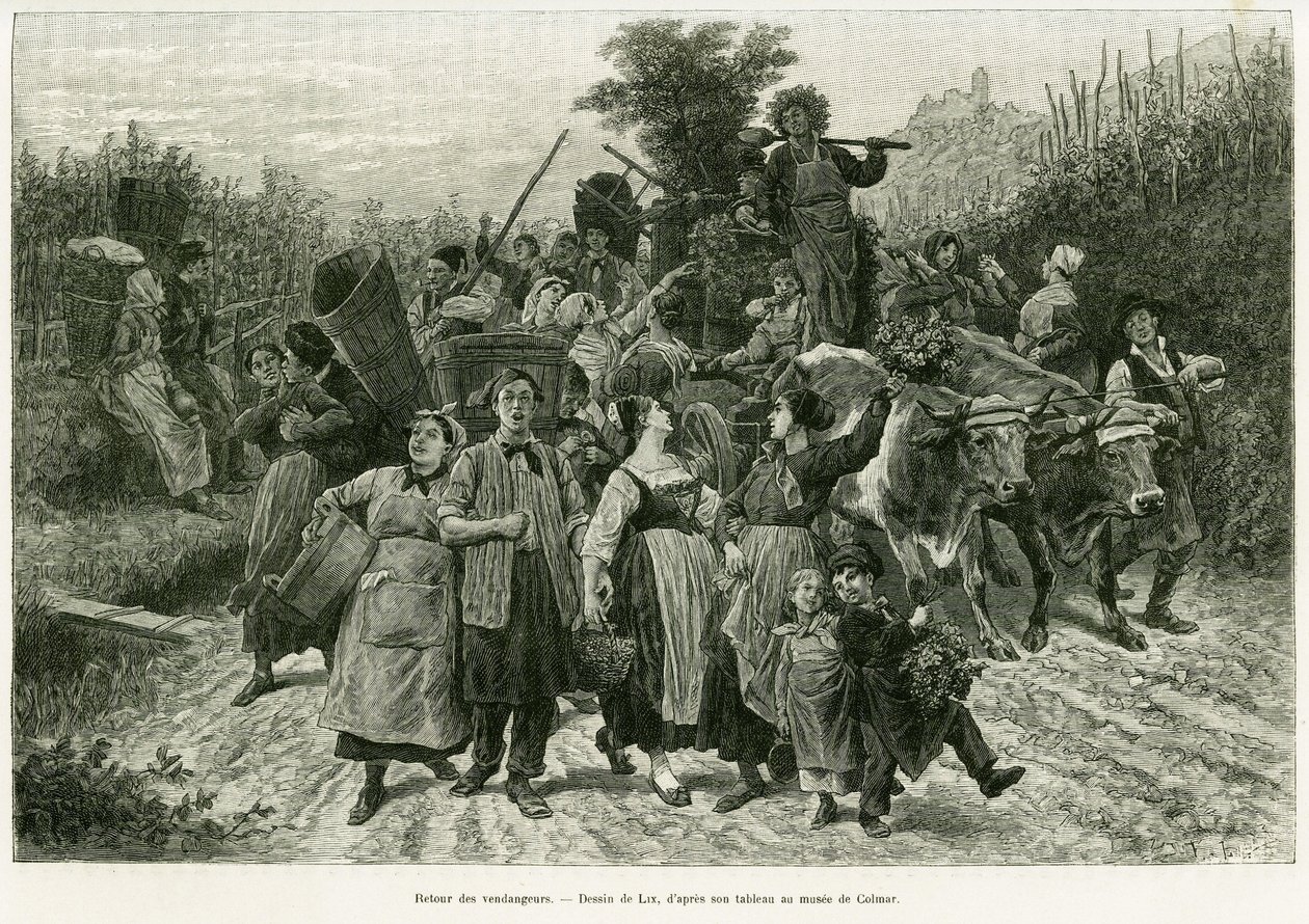 عودة المحصول. نقش بواسطة Lix ، لتوضيح القصة A عبر الألزاس ولورين ، في عام 1887 ، بواسطة تشارلز جراد ، النائب الألماني ، في جولة العالم 1888 ، من إخراج إدوارد شارتون (1807-1890) ، هاشيت ، باريس. بواسطة فريدريك ثيودور ليكس
