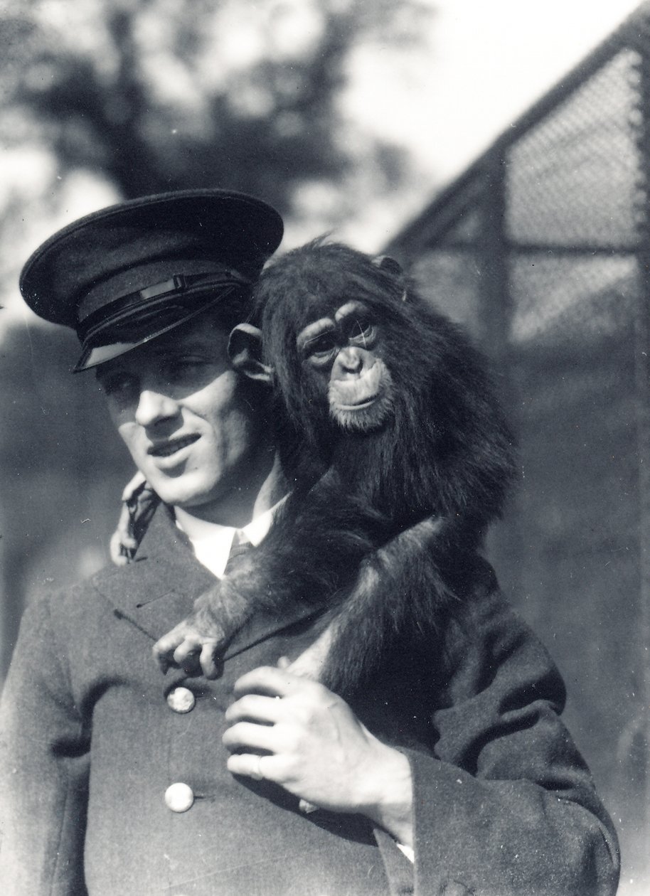 حارس F. Shelly مع الشمبانزي Johnnie أو Marco في ZSL London Zoo بواسطة فريدريك وليام بوند