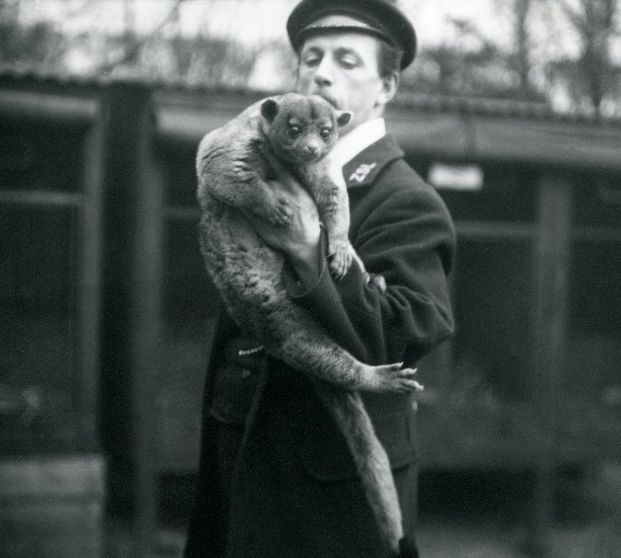 حارس ، ليزلي مارتن فليوين ، يحمل Kinkajou في حديقة حيوان لندن ، فبراير 1913 بواسطة فريدريك وليام بوند