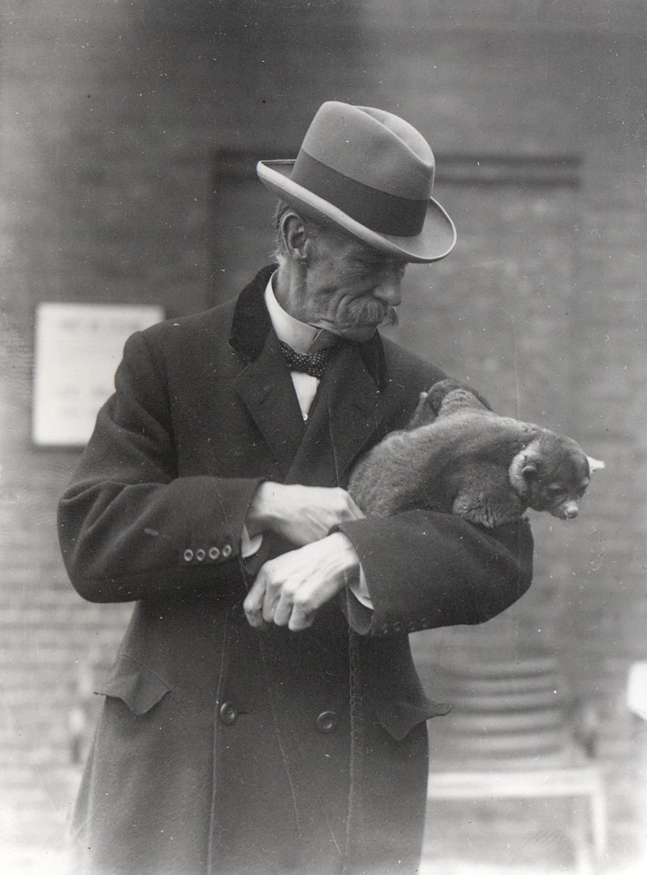 RI Pocock مع kinkajou بواسطة فريدريك وليام بوند