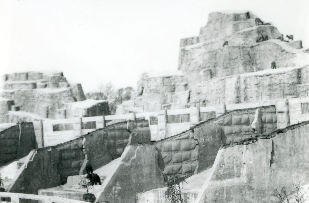 The Mappin Terraces ، حديقة حيوان لندن ، 1922 بواسطة فريدريك وليام بوند