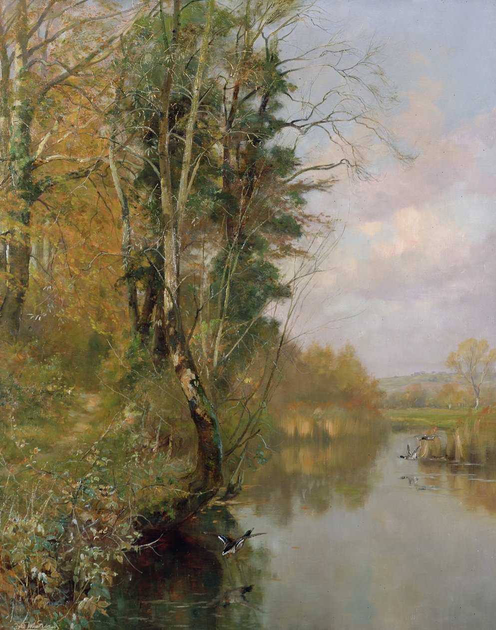 The River Frome، Morton nr Dorchester، 1901 بواسطة فريدريك وليام نيوتن وايتهيد