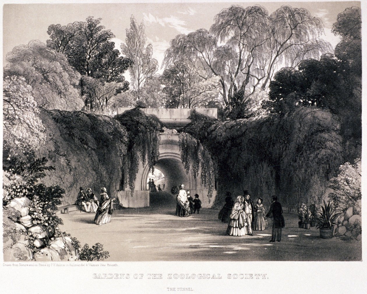 حدائق الحيوان ، ريجنت بارك ، مارليبون ، لندن ، c1840 بواسطة فريدريك ويليام هولمي