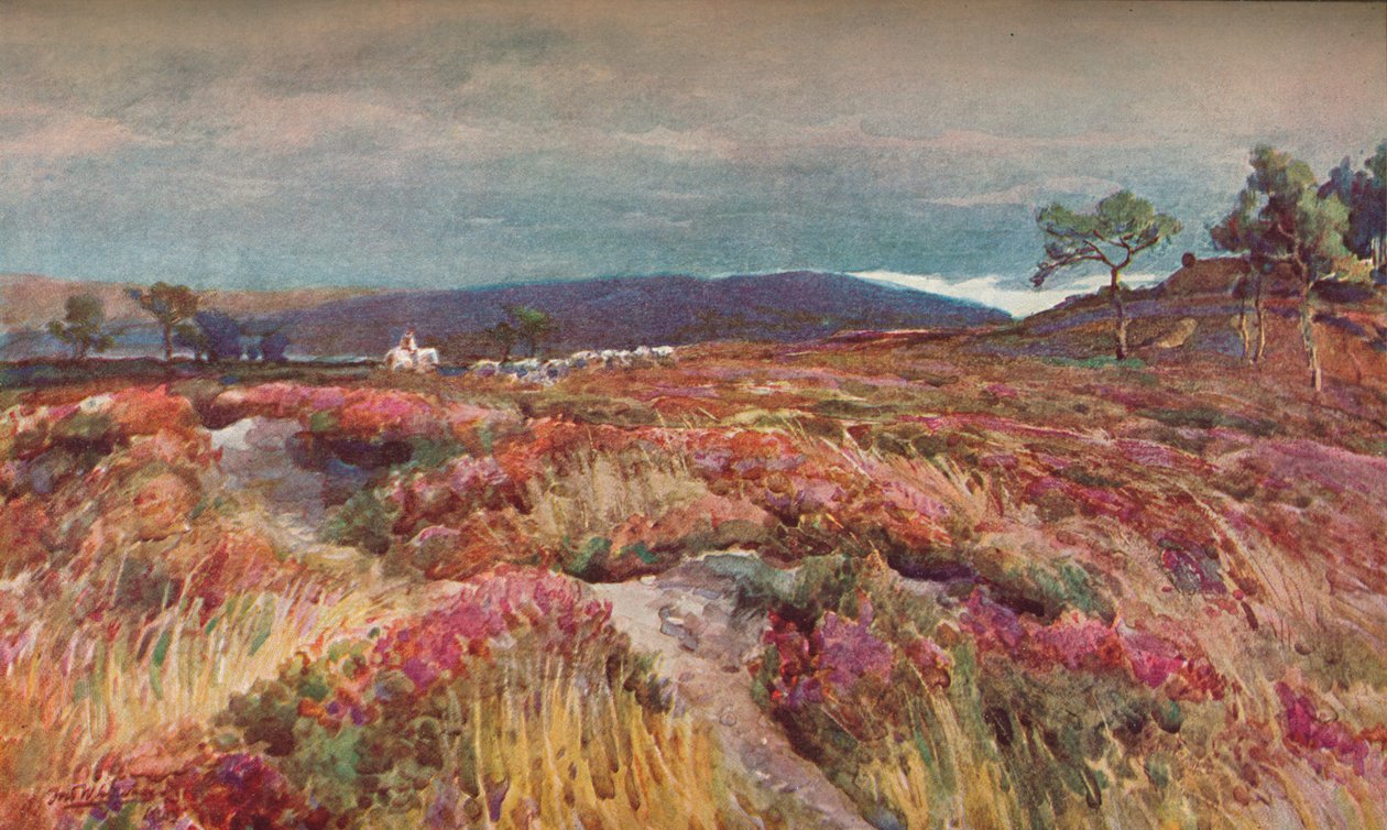 في The Heath Lytchett Minster ، c1904 بواسطة فريدريك وليام نيوتن وايتهيد