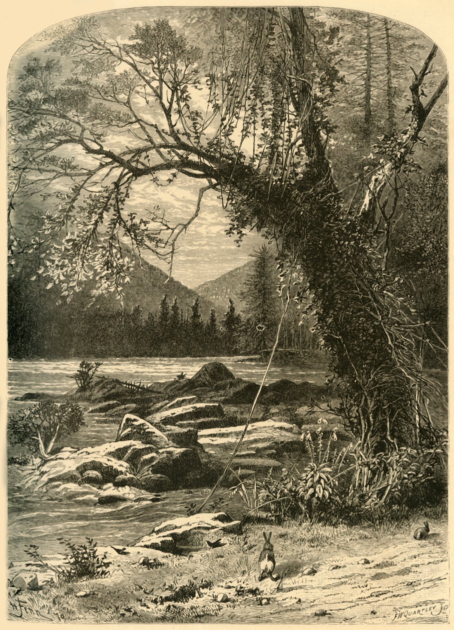 "The French Broad" ، ١٨٧٢. بواسطة فريدريك وليام كوارتلي