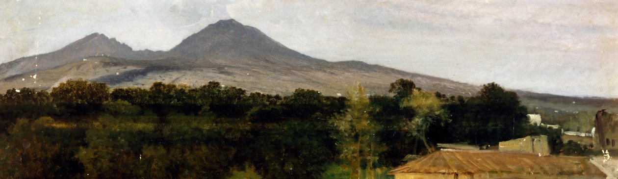 Surroundings of Vesuvius بواسطة فريدريكو روسانو