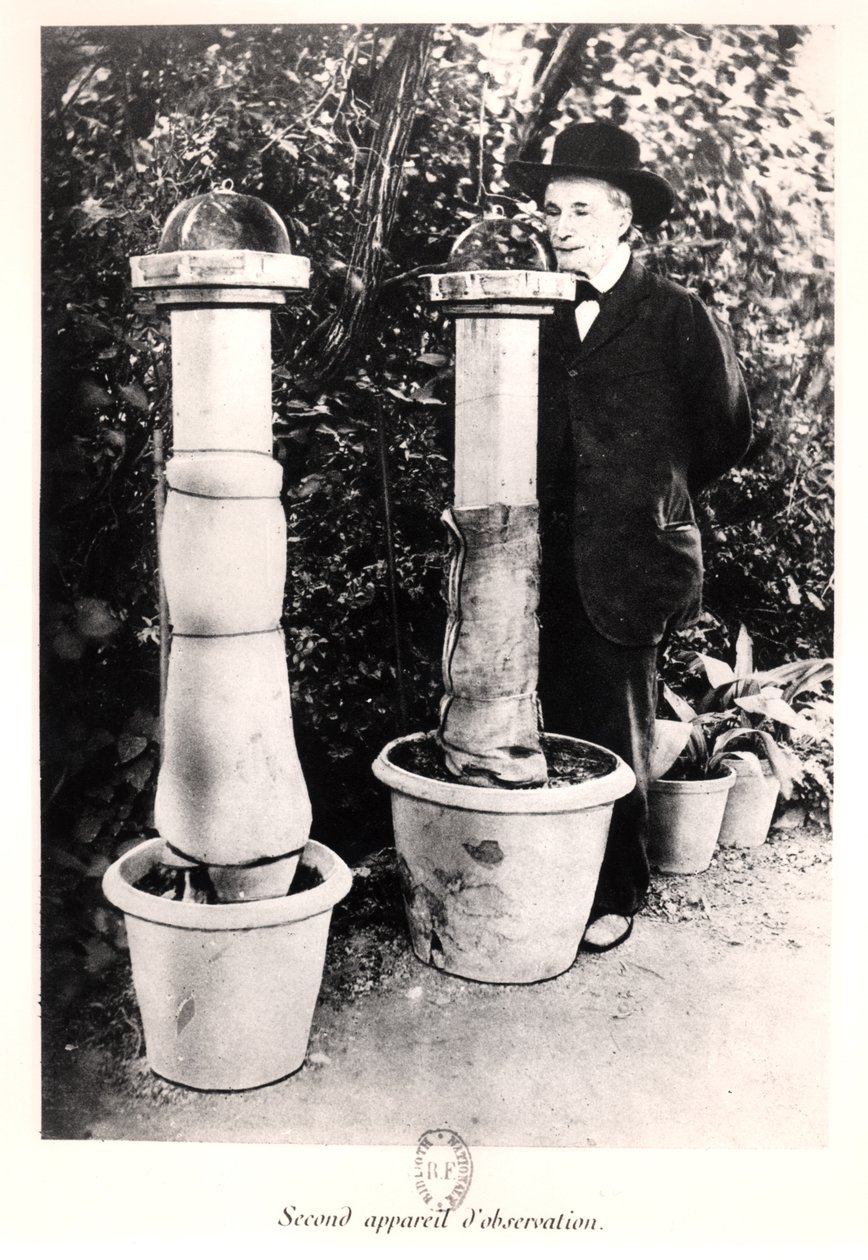 جان هنري فابر (1823-1915) من Souvenirs Entomologiques ، نُشر عام 1924 بواسطة مصور فرنسي