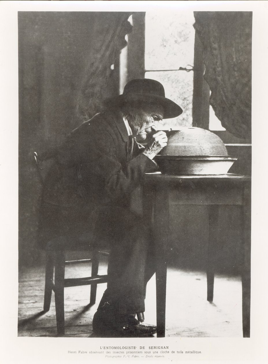 جان هنري فابر (1823-1915) يراقب الحشرات ، من تذكارات الحشرات ، نُشر عام 1924 بواسطة مصور فرنسي