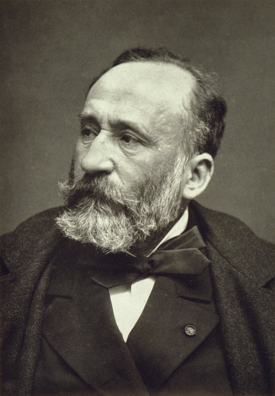 بيير سيسيل بوبيس دي تشافانيس (1824-1898) ، من غاليري كونتيمبوراين ، ج. بواسطة مصور فرنسي
