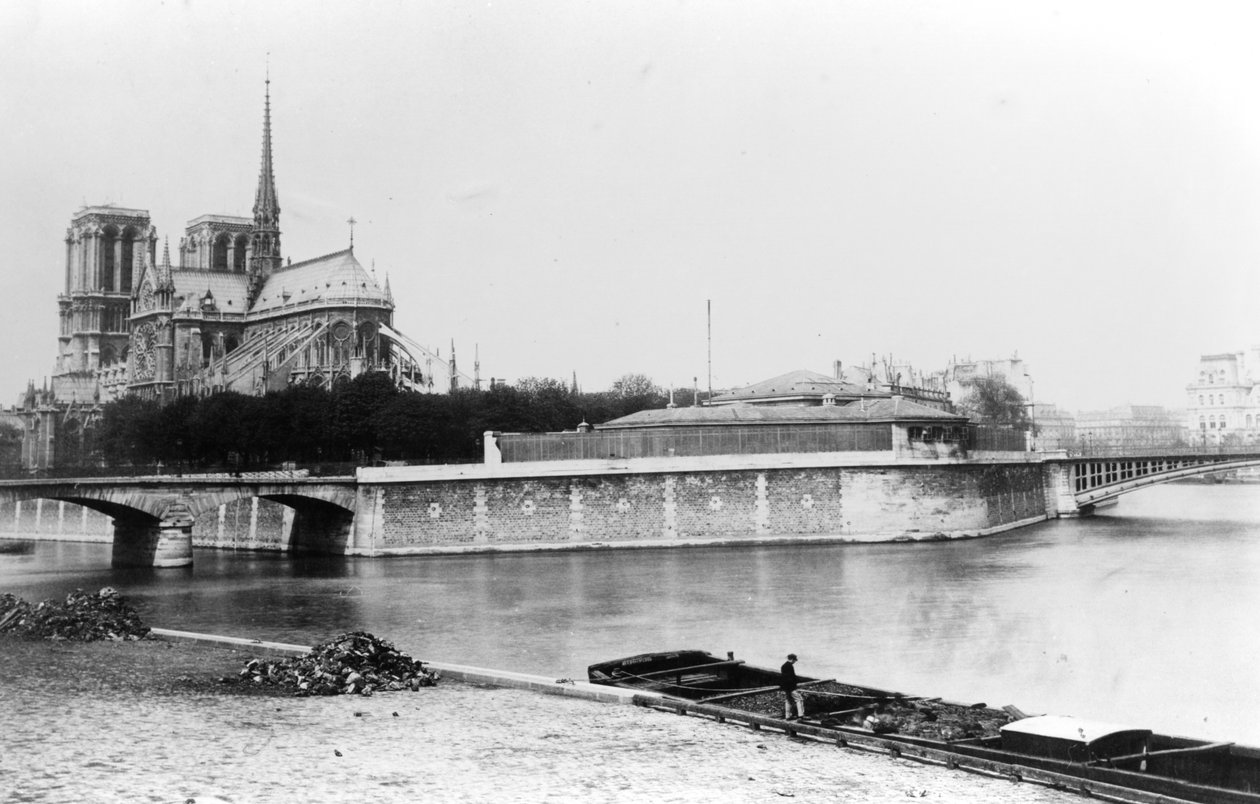 منظر لكاتدرائية نوتردام في باريس ، و Quai de la Tournelle ونهر السين ، c.1900 بواسطة مصور فرنسي