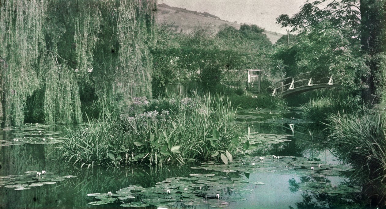 بركة ووترليلي والجسر الياباني في حديقة مونيه في جيفرني ، أوائل عشرينيات القرن العشرين (الصورة) بواسطة مصور فرنسي