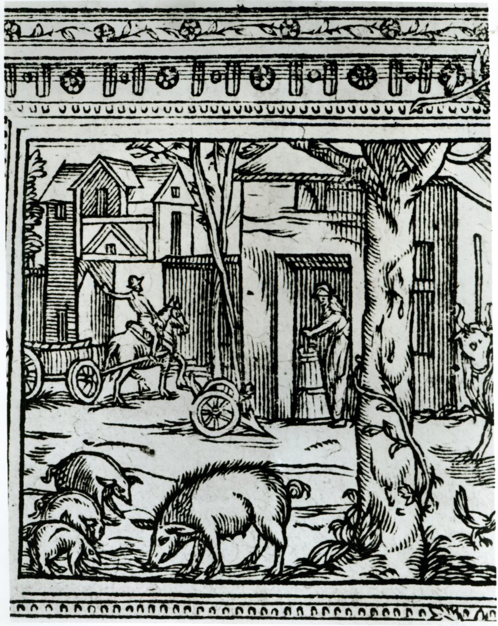 مزرعة ، رسم توضيحي من "مسرح الزراعة و Mesnage des Champs" لأوليفييه دي سيريس (1539-1619) بواسطة المدرسة الفرنسية