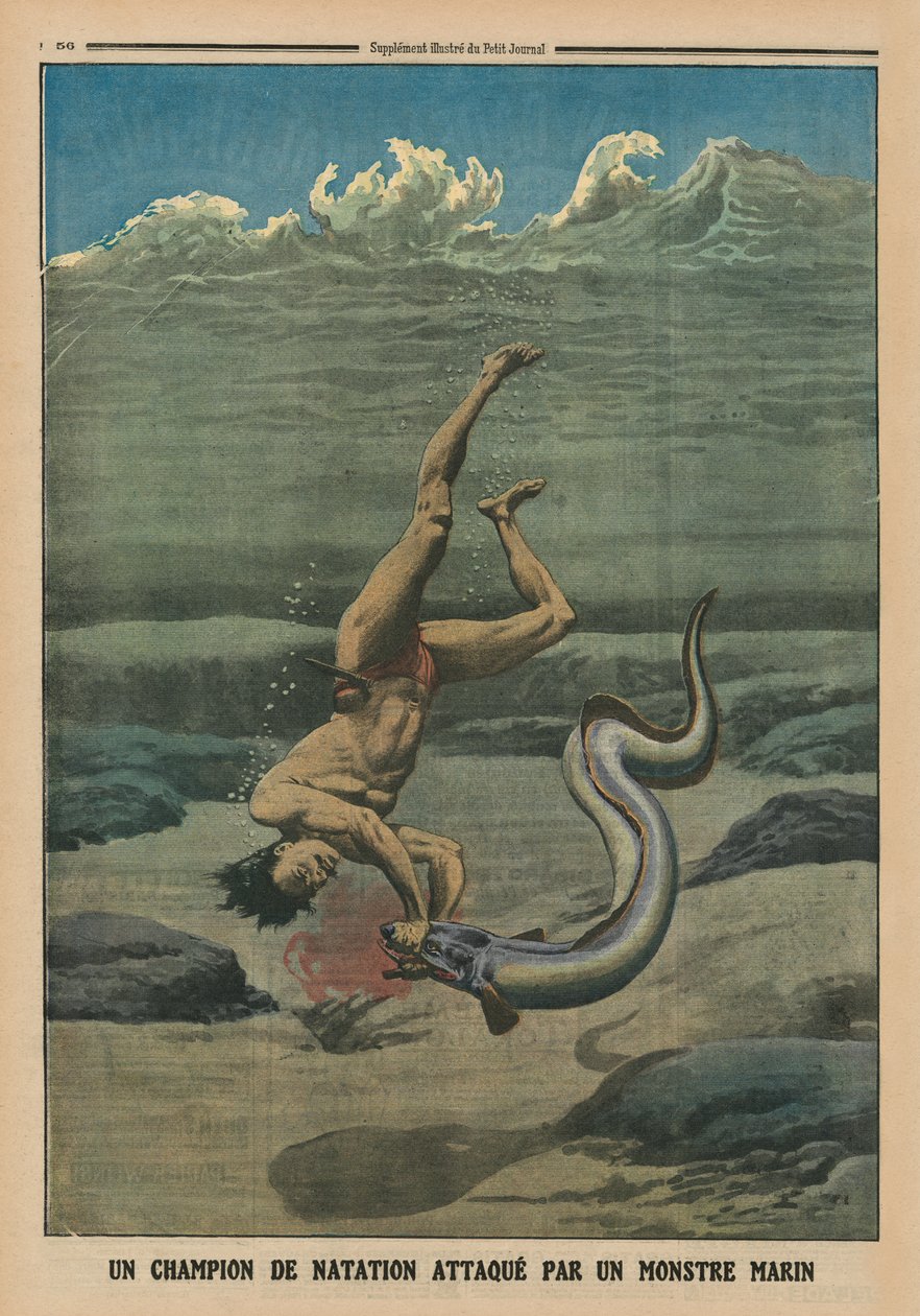 بطل سباحة هاجمه وحش البحر ، صورة الغلاف الخلفي من `` Le Petit Journal &39;&39; ، ملحق illustre ، 16 فبراير 1913 بواسطة المدرسة الفرنسية