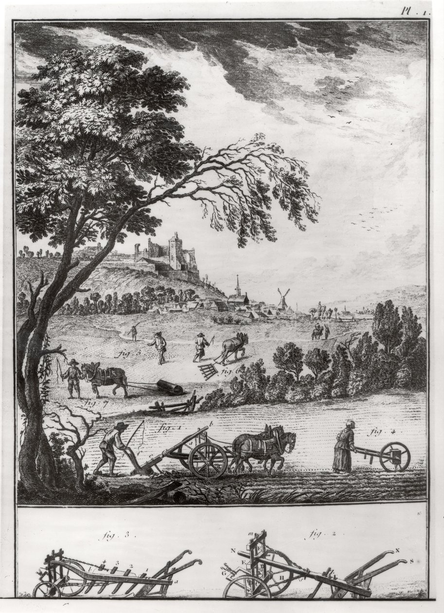 الزراعة ، اللوحة الأولى من موسوعة دينيس ديدرو (1713-1784) 1762 بواسطة المدرسة الفرنسية