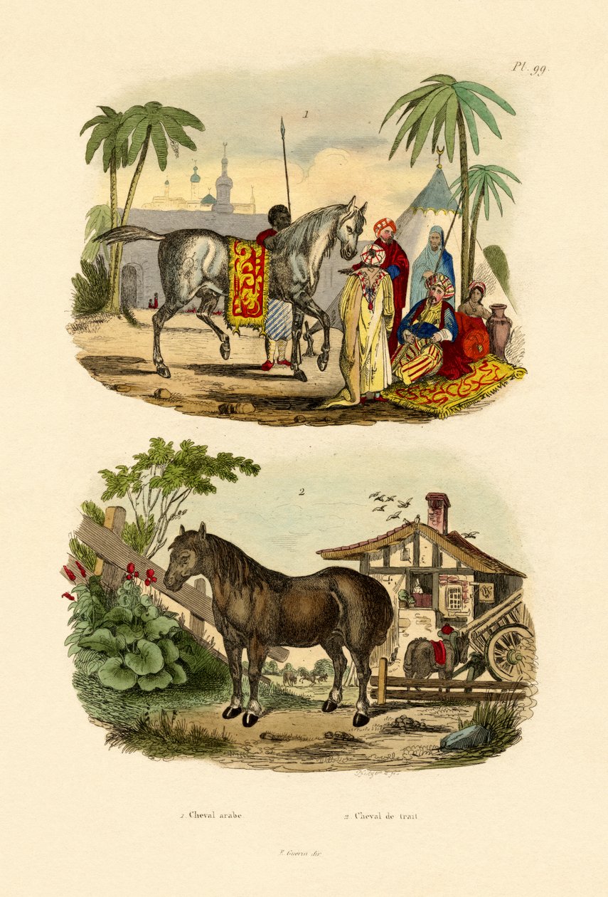 الحصان العربي ، 1833-1839 بواسطة المدرسة الفرنسية