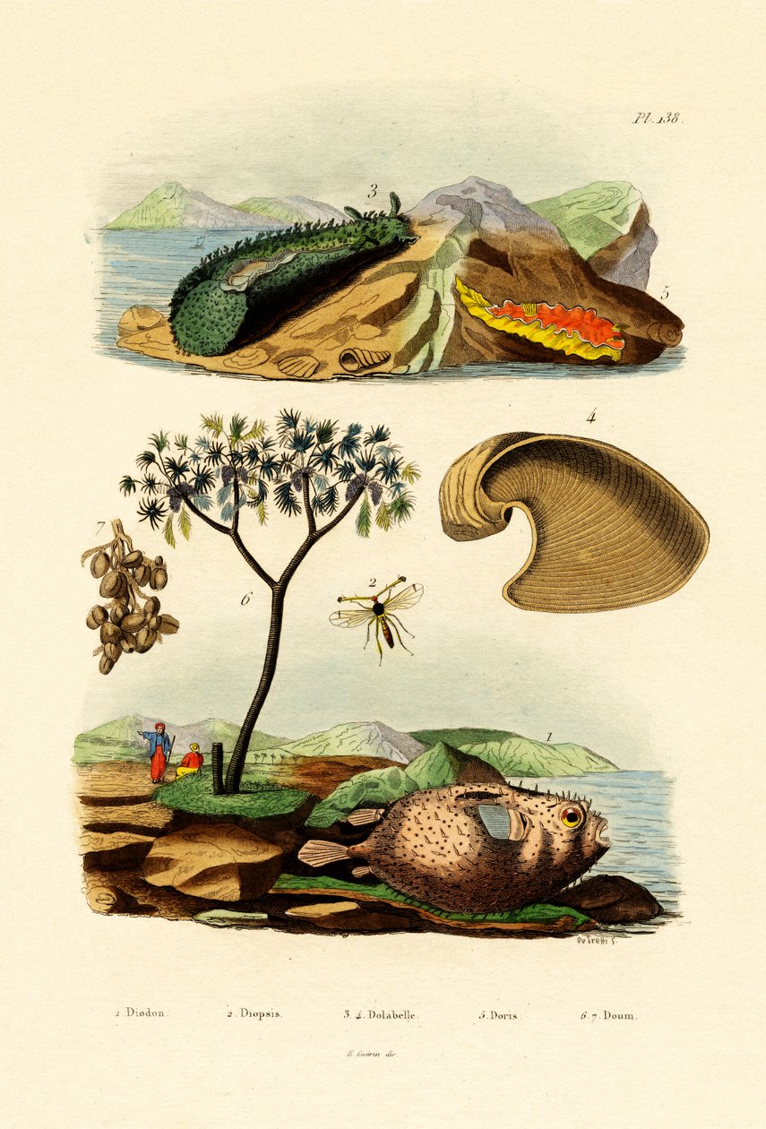 بالونون ، 1833-1839 بواسطة المدرسة الفرنسية