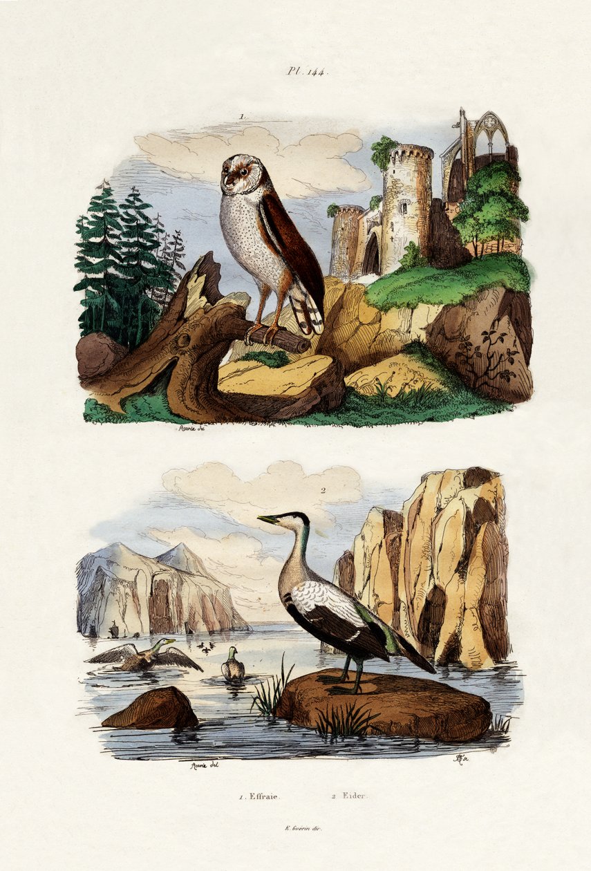 بارن أول ، 1833-1839 بواسطة المدرسة الفرنسية