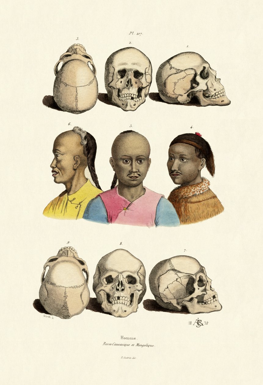 القوقازيين ، 1833-1839 بواسطة المدرسة الفرنسية