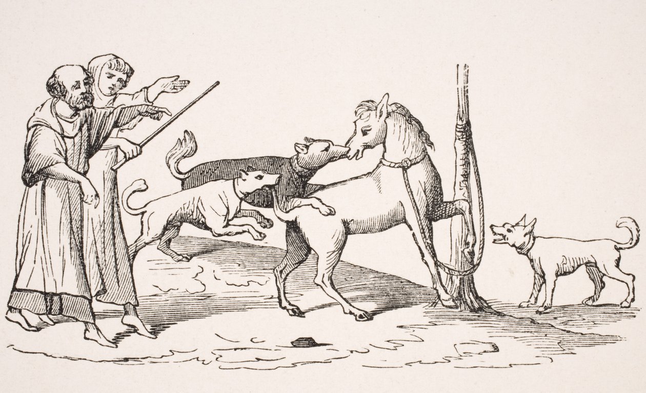 قتال بين الحصان والكلاب ، استنساخ صورة مصغرة في مخطوطة من القرن الثالث عشر ، من "Le Moyen Age et La Renaissance" بقلم بول لاكروا (1806-1884) نشر عام 1847 بواسطة المدرسة الفرنسية