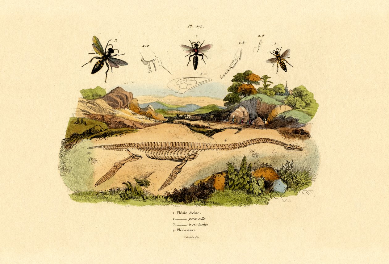 الدبور ، 1833-1839 بواسطة المدرسة الفرنسية