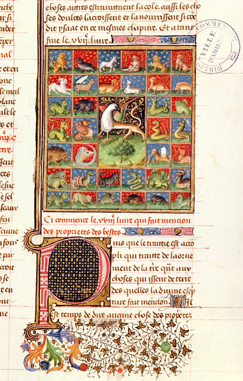 Ms 399 fol.241 The Properties of Animals، from &39;Livre des Proprietes des Choses&39; by Barthelemy the Englishman بواسطة المدرسة الفرنسية