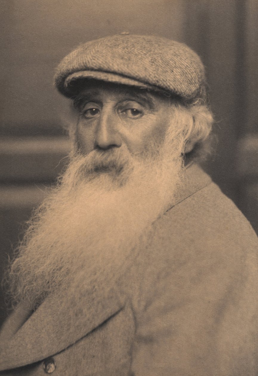 صورة لكاميل بيسارو (1830-1903) بواسطة المدرسة الفرنسية