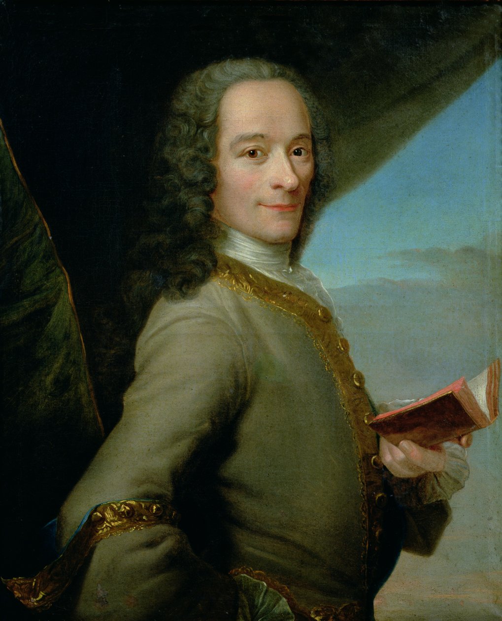 صورة فولتير صغير (1694-1778) بواسطة المدرسة الفرنسية