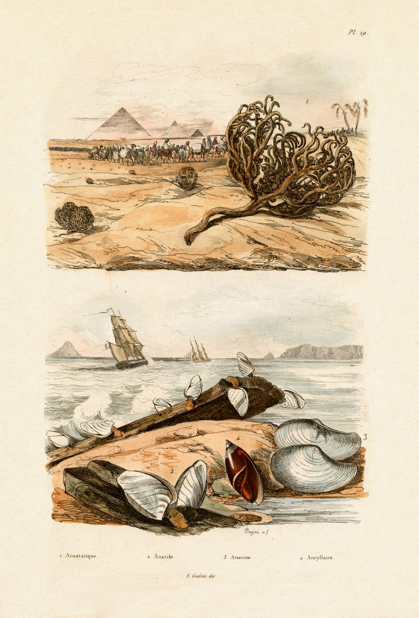 روز أريحا ، 1833-1839 بواسطة المدرسة الفرنسية