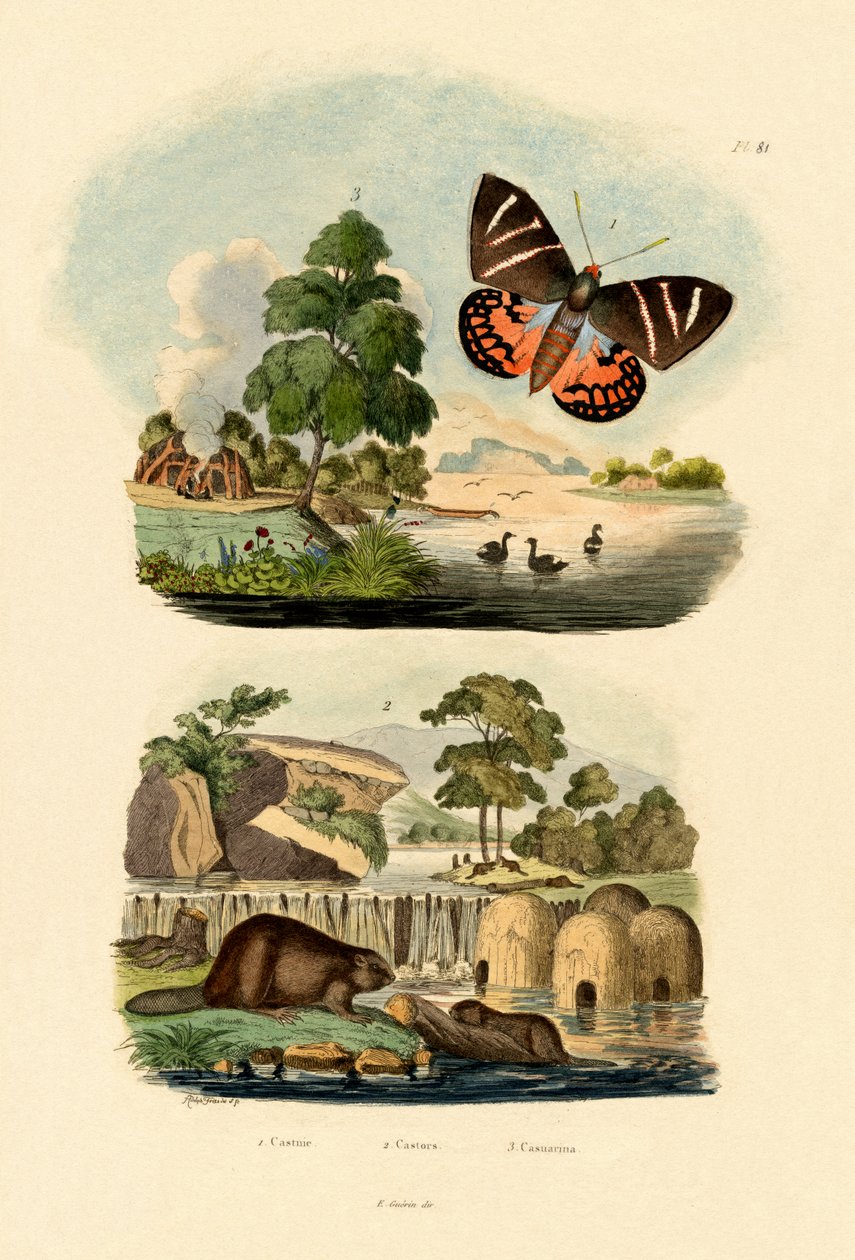 صن موث ، 1833-1839 بواسطة المدرسة الفرنسية