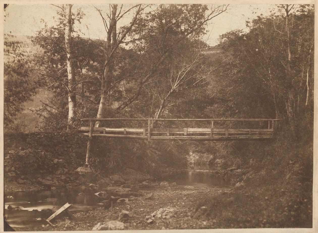 منظر طبيعي مع أشجار وجسر، ج. 1850 (صورة فوتوغرافية) بواسطة مصور فرنسي