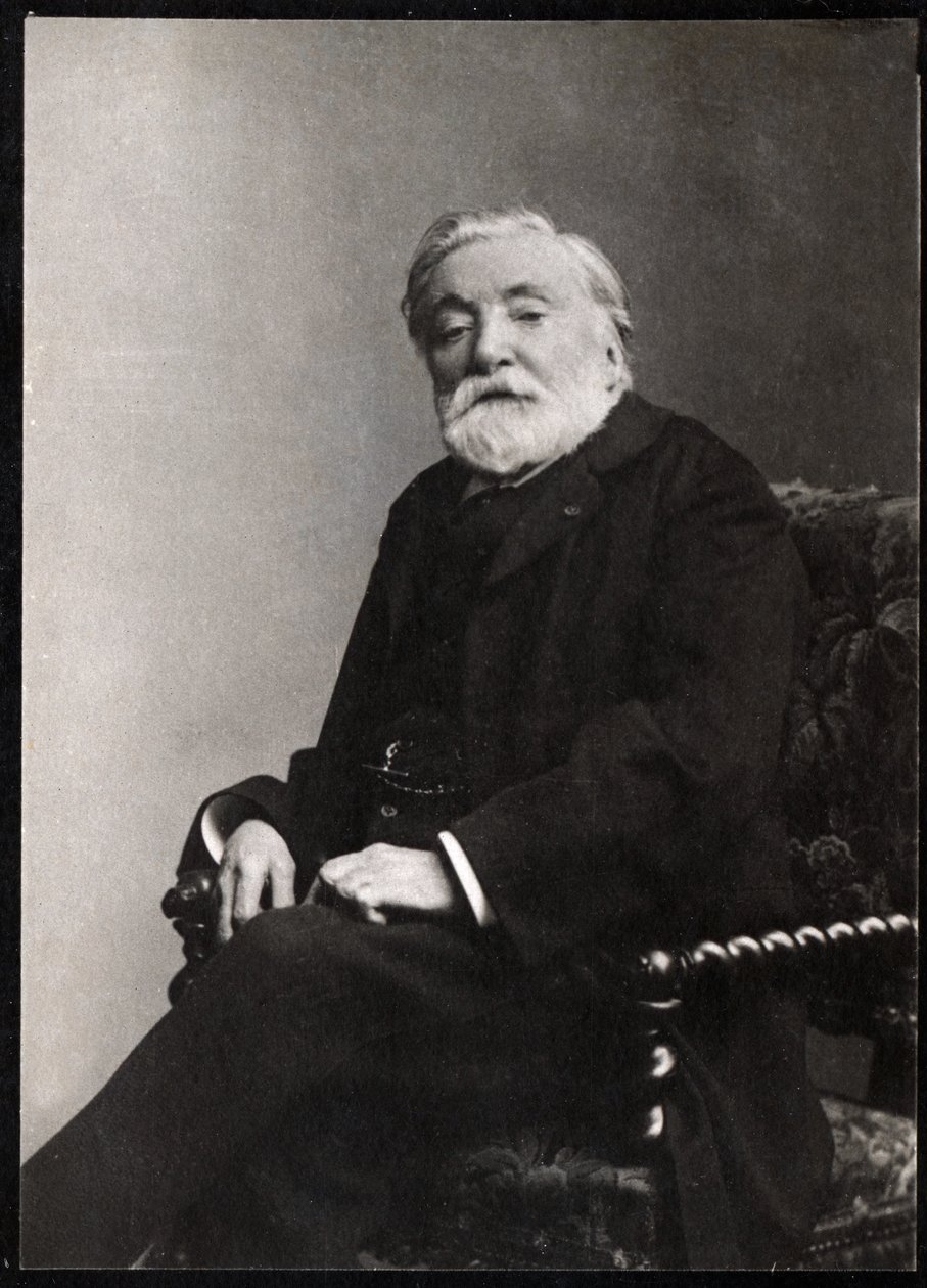 صورة لإتيان تشارلز هنري ، فيكونت دي بورنييه (1825-1901) ، الشاعر والكاتب المسرحي الفرنسي. بواسطة مصور فرنسي