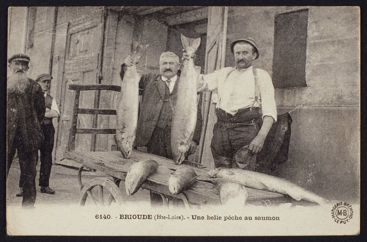 بطاقة بريدية تصور صيدًا جيدًا من سمك السلمون في Brioude ، Haute-Loire ، c.1900 بواسطة مصور فرنسي