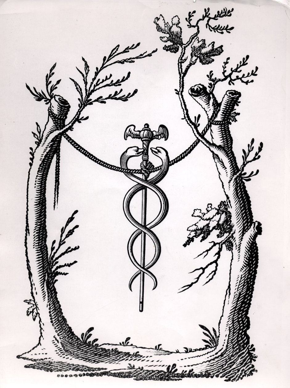 في Caduceus بواسطة المدرسة الفرنسية