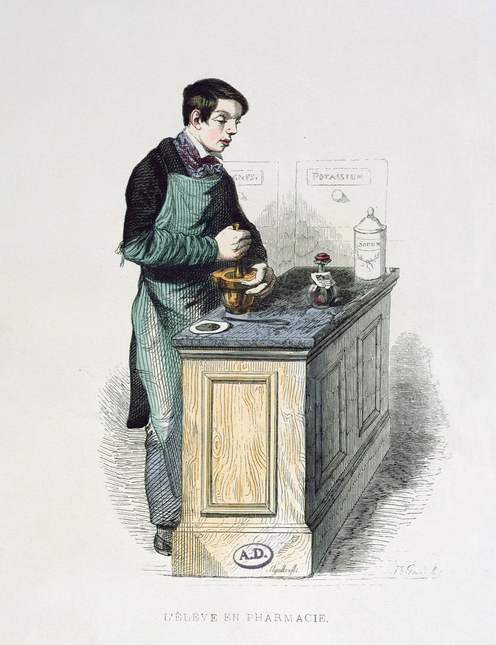 طالب صيدلة يعد الطب ، صورة توضيحية من Les Francais peints par-selfs ، Editions L. Curmer ، 1841 (نقش الألوان) بواسطة المدرسة الفرنسية