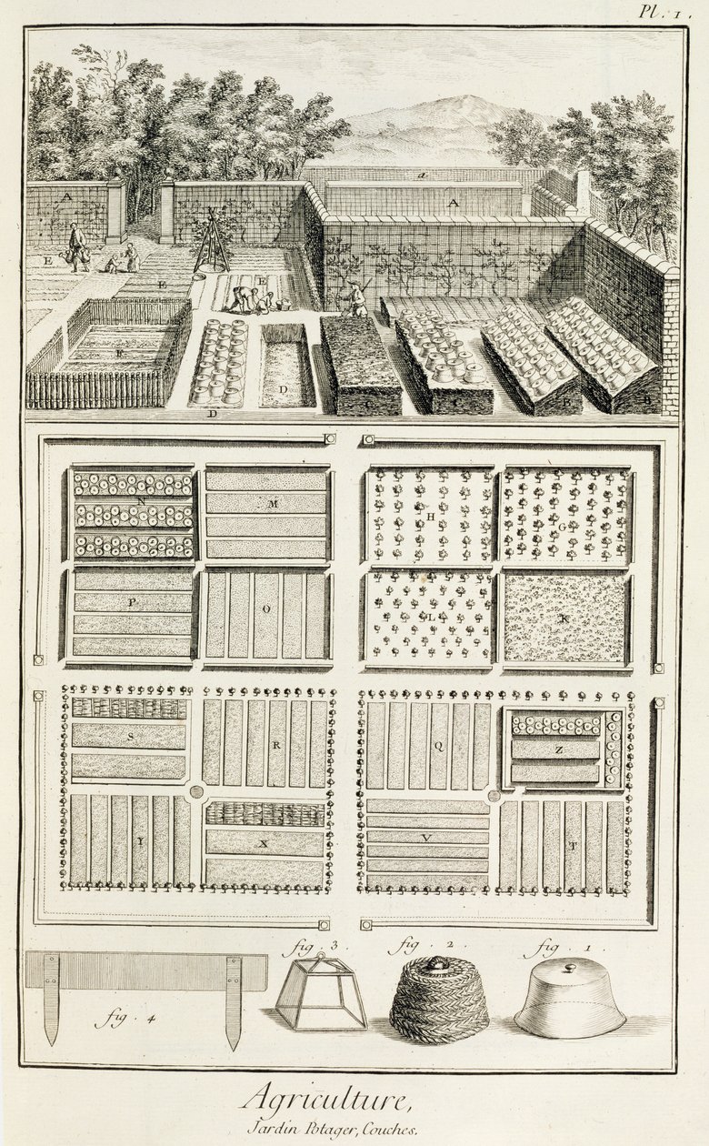 حديقة نباتية ، من موسوعة العلوم والفنون والهندسة بقلم دينيس ديدرو (1713-1784) ، ج .1770 بواسطة المدرسة الفرنسية