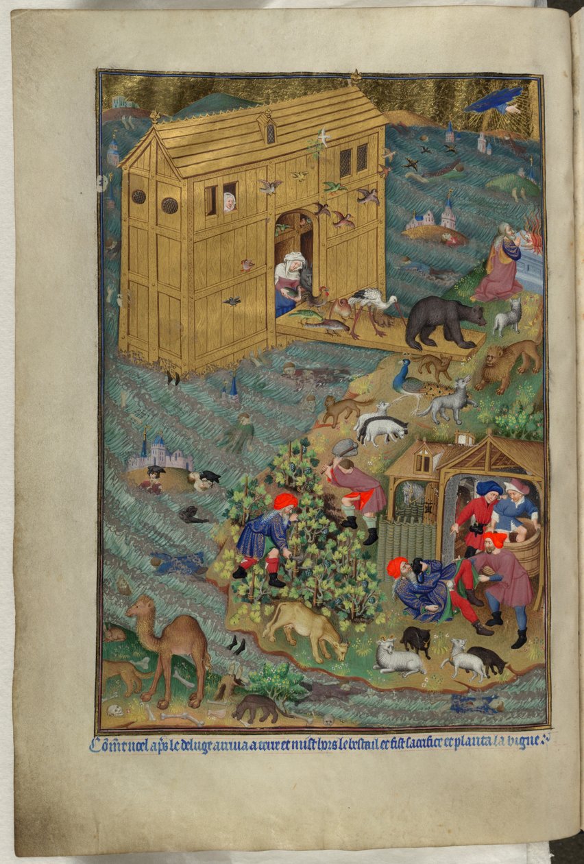 أضف Ms 18850 f.16v ، الخروج من الفلك ، من كتاب الصلوات (ساعات بيدفورد) حوالي 1410-30 (حبر ، لون وذهب على ورق) بواسطة المدرسة الفرنسية