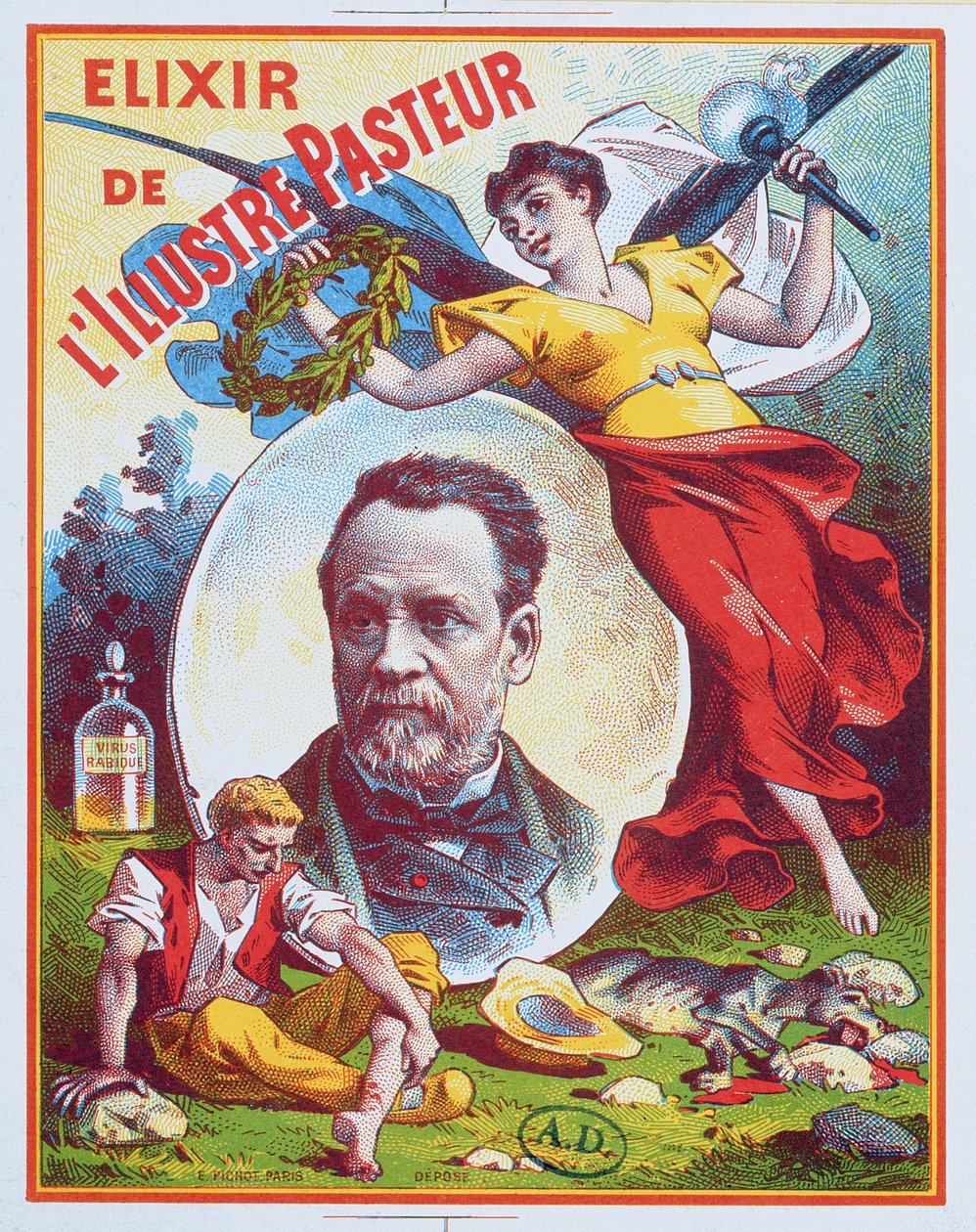 إعلان عن Elixir de lIllustre Pasteur، 1900 بواسطة المدرسة الفرنسية