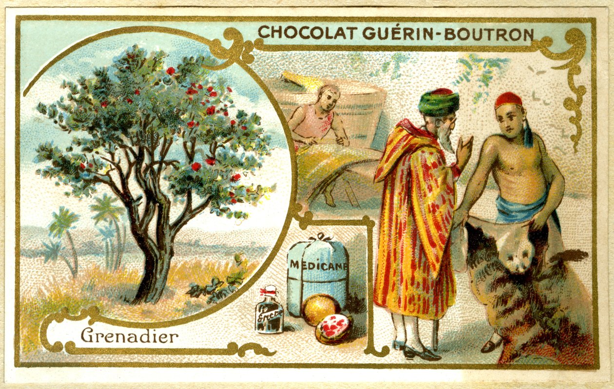 الطباعة الحجرية الملونة الإعلانية لشوكولاتة Guérin Boutron (Chromolithograph) بواسطة المدرسة الفرنسية