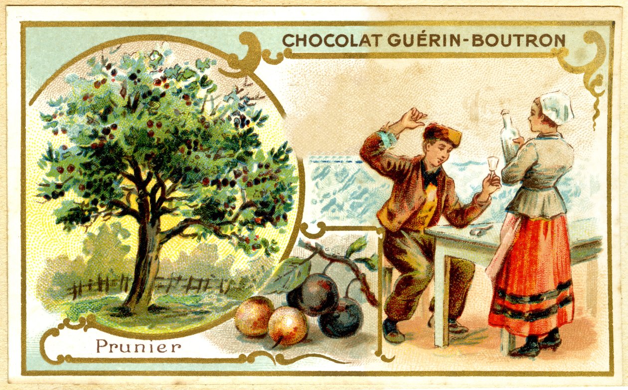 الطباعة الحجرية الملونة الإعلانية لشوكولاتة Guérin Boutron (Chromolithograph) بواسطة المدرسة الفرنسية