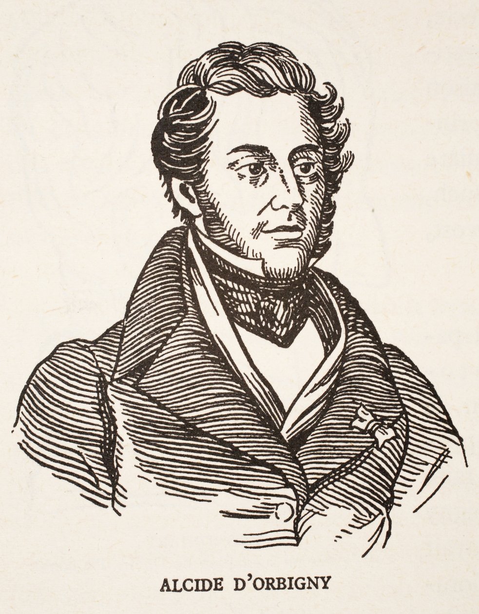 Alcide dOrbigny بواسطة المدرسة الفرنسية