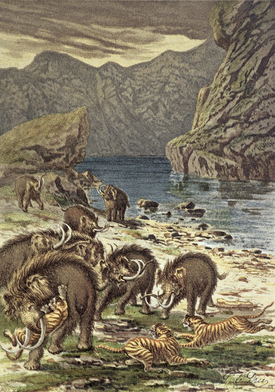 معركة بين الماموث والنمور ذات أسنان السيف ، من Le Monde Avant la Creation dHomme by Camille Flammarion ، 1886 بواسطة المدرسة الفرنسية