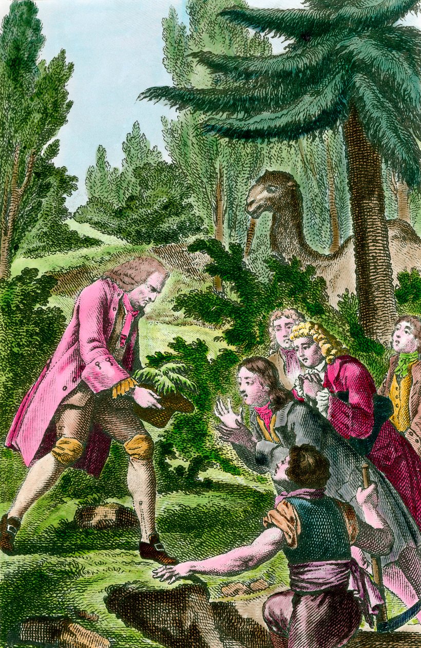 برنار دي جوسيو (1699-1777) زرع أرز لبنان في حديقة النباتات في باريس عام 1734. نقش القرن الثامن عشر. بواسطة المدرسة الفرنسية
