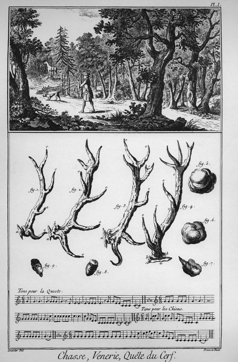 Chasse - la quete du deer - "" The Great Encyclopedie، ou Dictionnaire Raisonne des Sciences، des Arts et des Metiers "" (موسوعة أو قاموس العلوم والفنون والمهن) بقلم دينيس ديدرو (1713-1784) وجان د ' أليمبرت (1717-1783). بواسطة المدرسة الفرنسية