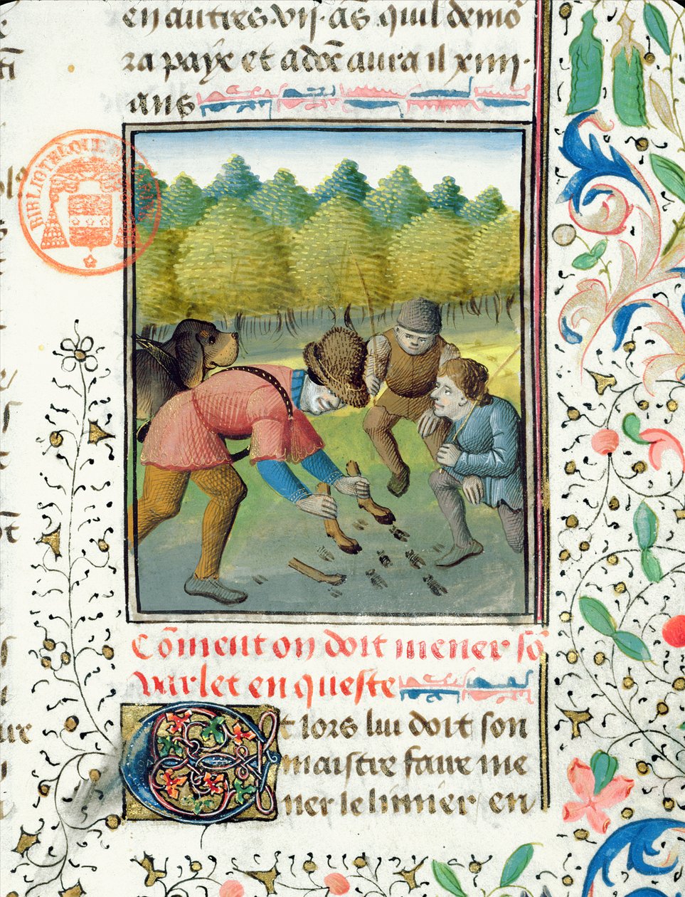 فحص مسارات الأيل ، من Livre de la Chasse بواسطة Gaston Phebus de Foix (1331-91) بواسطة المدرسة الفرنسية