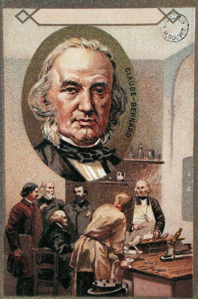 كلود برنارد (1813-1878) (كروموليثو) بواسطة المدرسة الفرنسية
