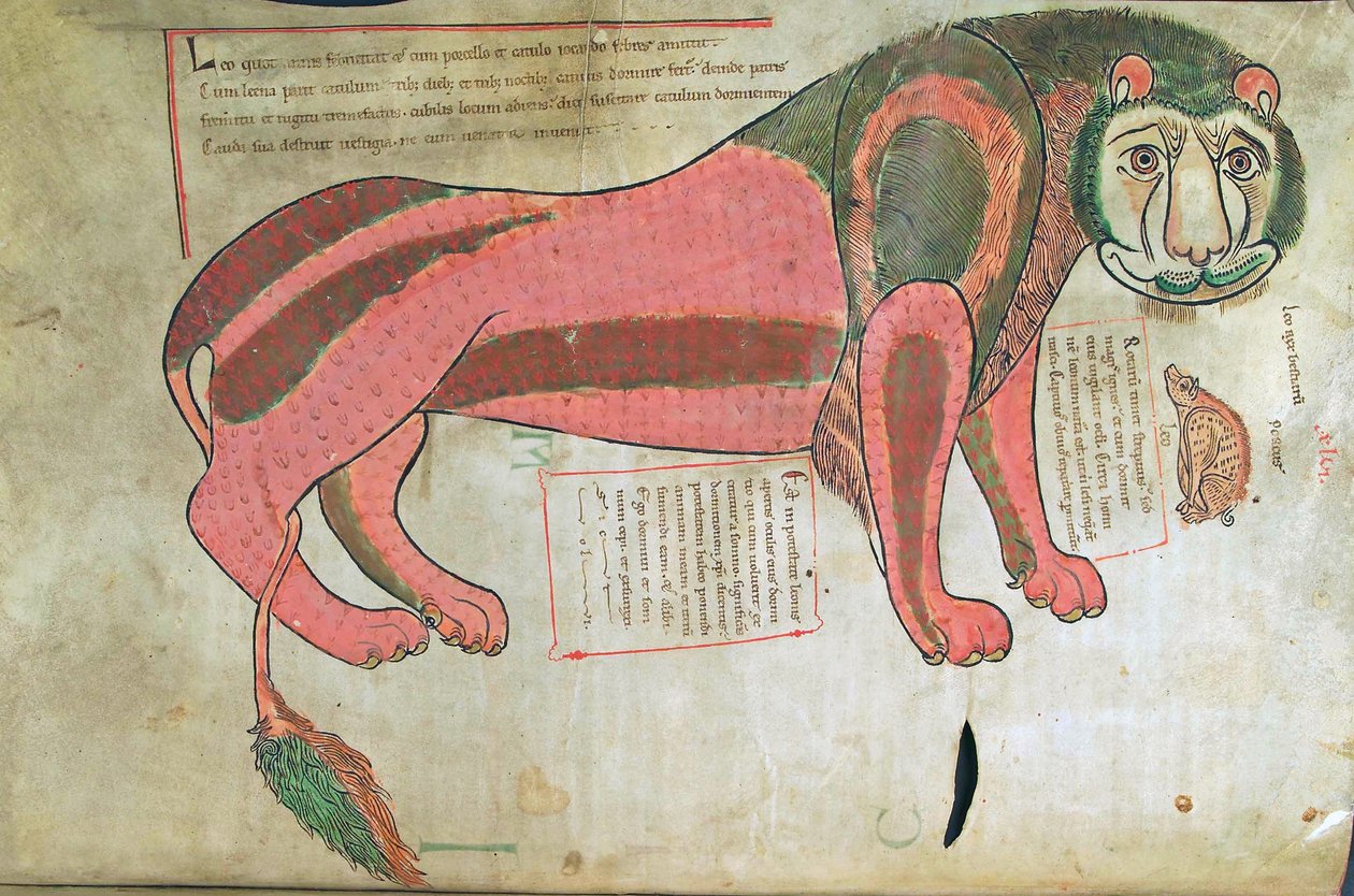 سمك القد. الجرف. 1 فالداخل. خط العرض. (٣٧ ظ) ، الأسد والخنزير ، من Liber Floridus بقلم لامبرت دي سان أومير c.1120 بواسطة المدرسة الفرنسية