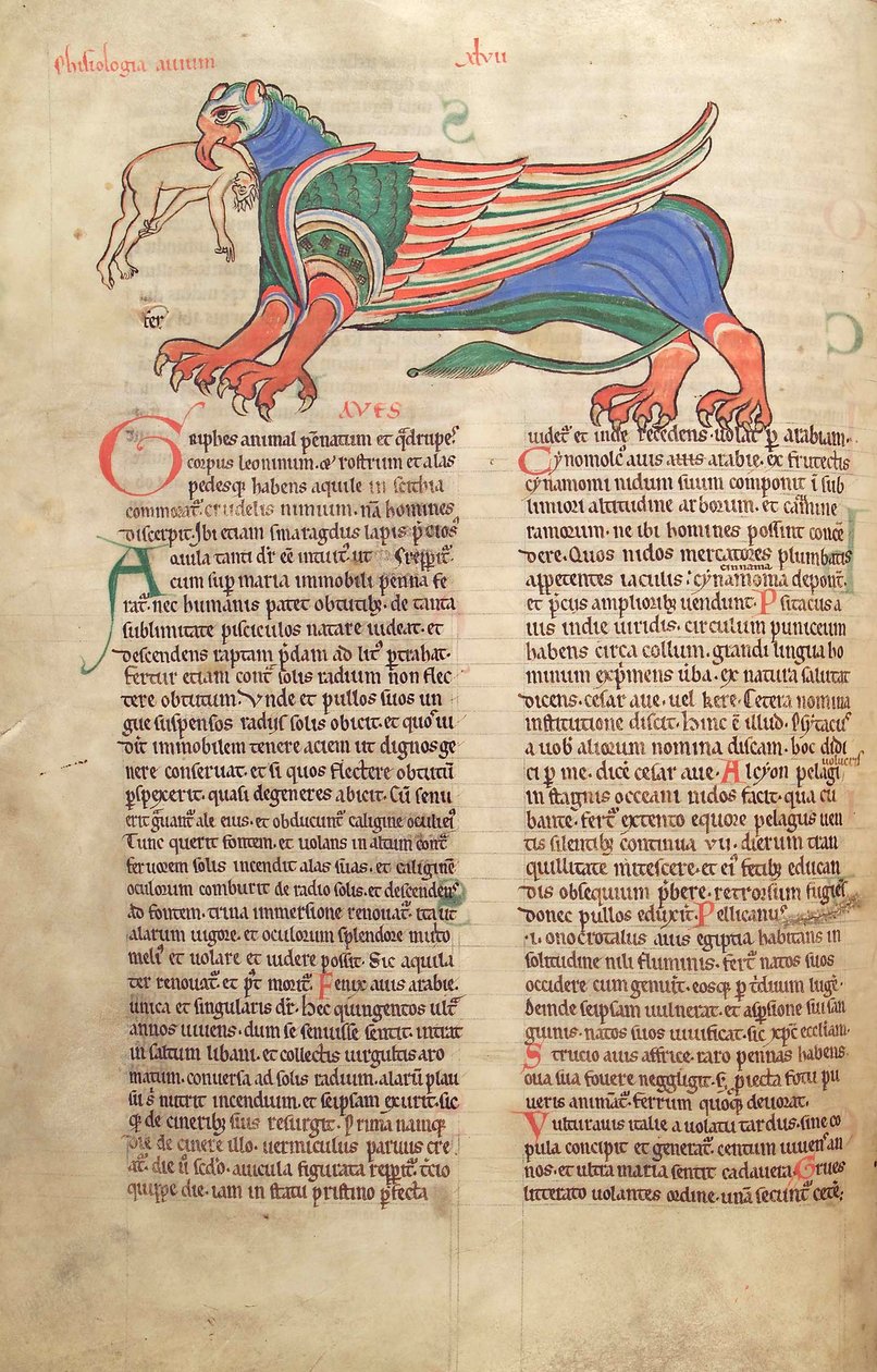 سمك القد. الجرف. 1 فالداخل. خط العرض. 39v ، غريفين يلتهم رجلاً ، من Liber Floridus بقلم لامبرت دي سان أومير c.1120 بواسطة المدرسة الفرنسية