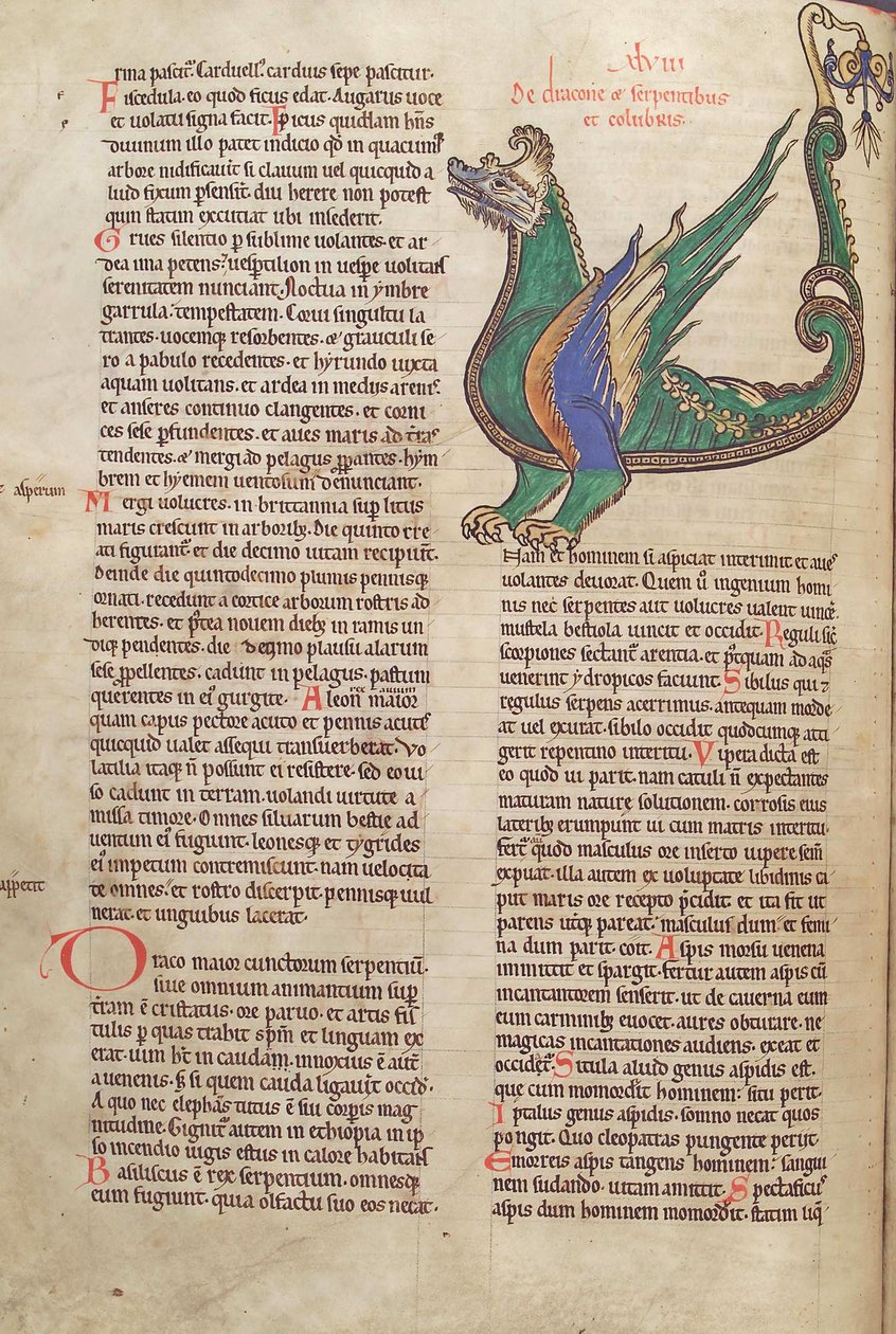 سمك القد. الجرف. 1 فالداخل. خط العرض. 40 فولت ، نص مع توضيح لتنين ، من Liber Floridus بقلم Lambert de Saint-Omer c.1120 بواسطة المدرسة الفرنسية